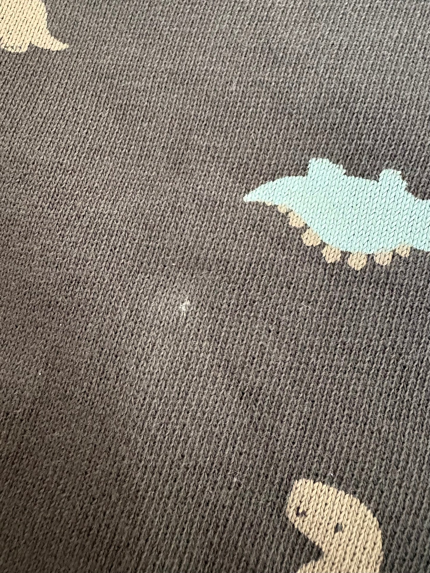 H&M-Crewneck-12/18 mois (légère imperfection)
