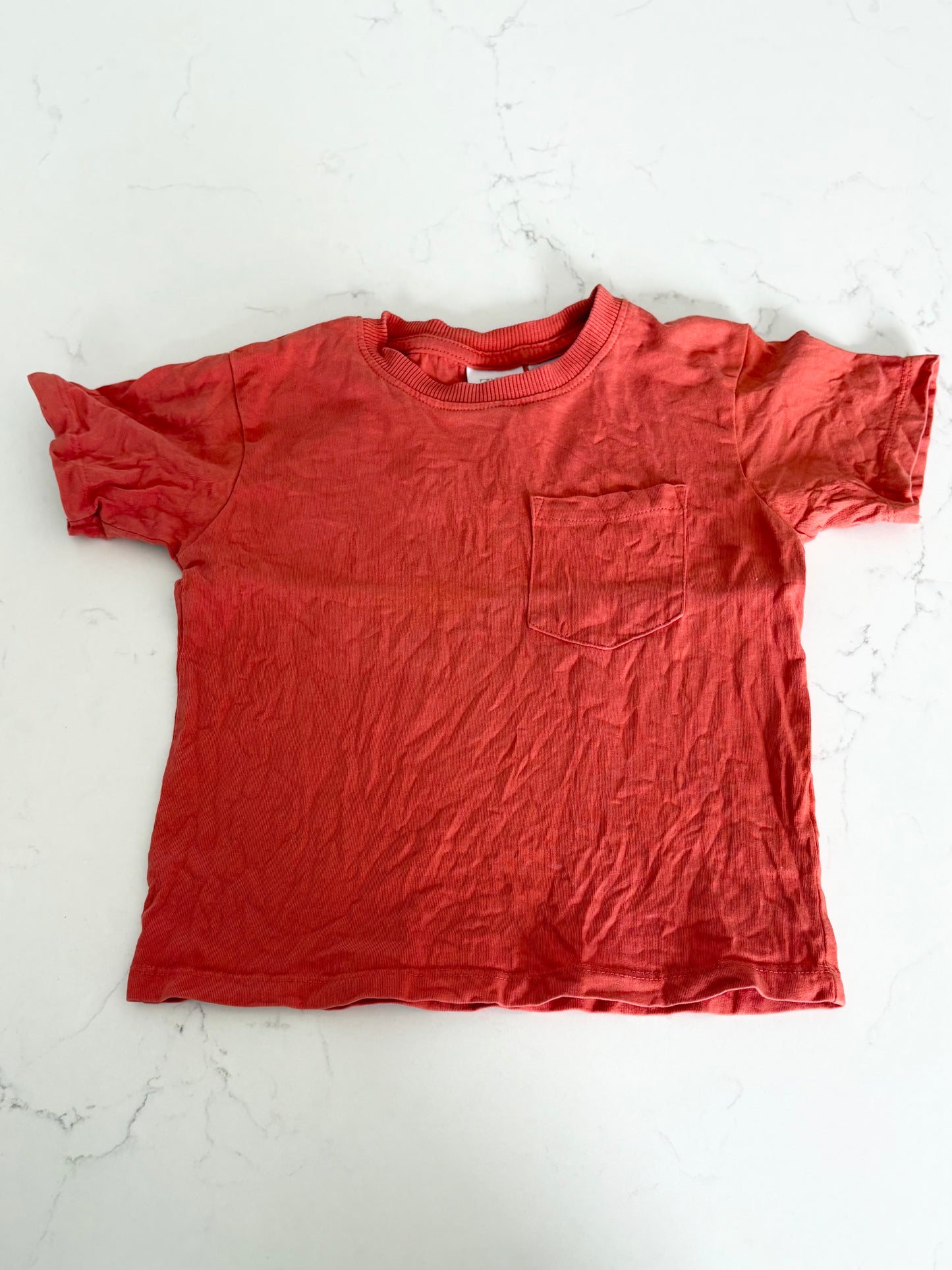 Zara-T shirt-18 mois