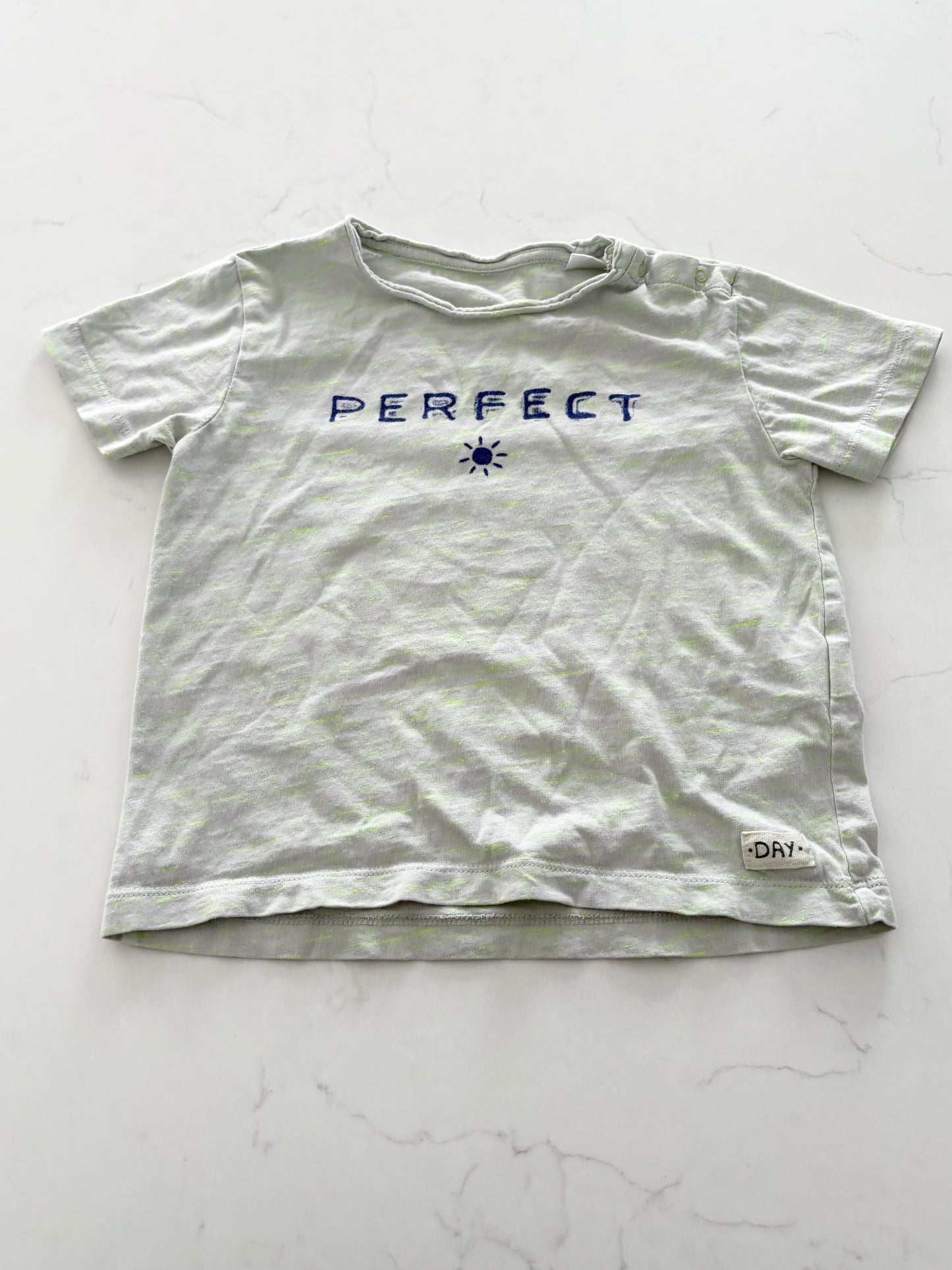 Zara-T shirt-~2T