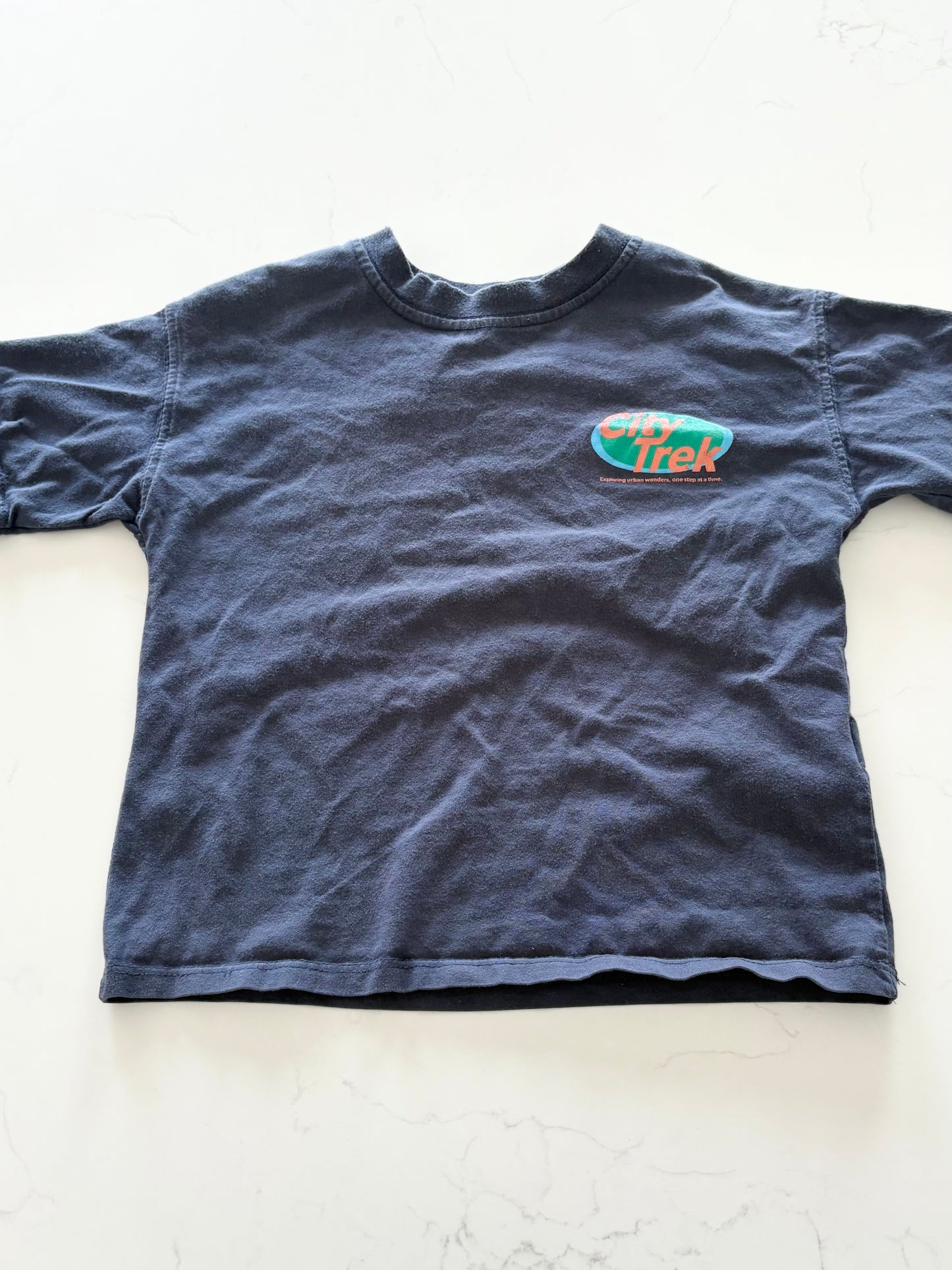 Zara-T shirt-6/7T