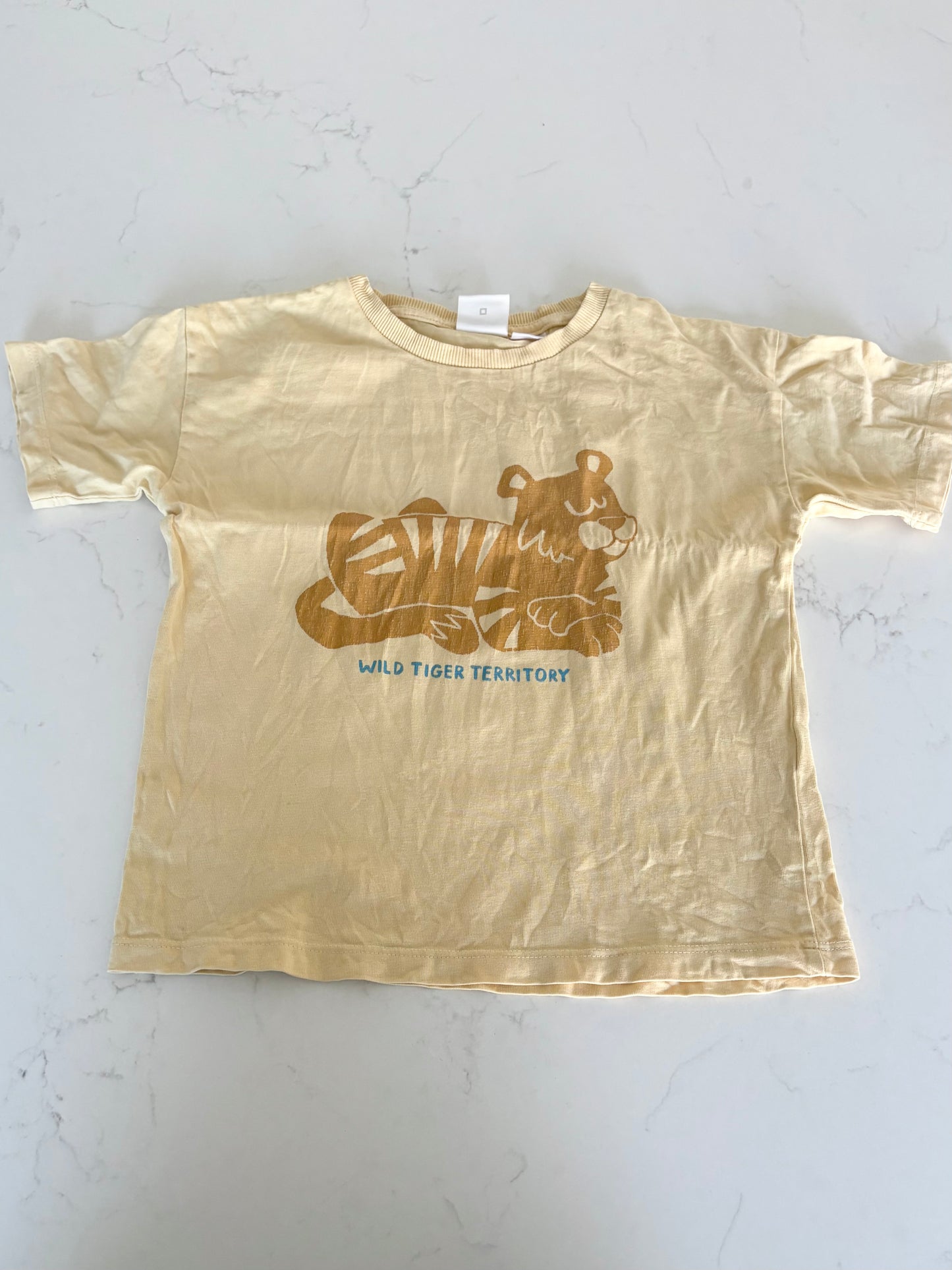 Zara-Chandail-6T