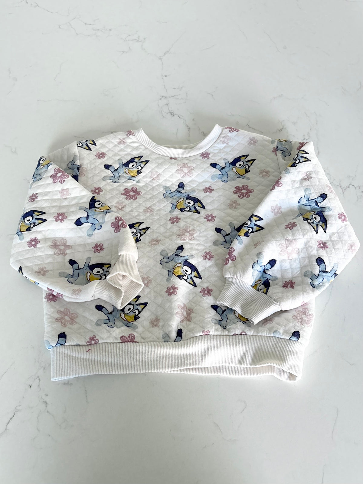 Bluey-Crewneck-5T ( fait petit )