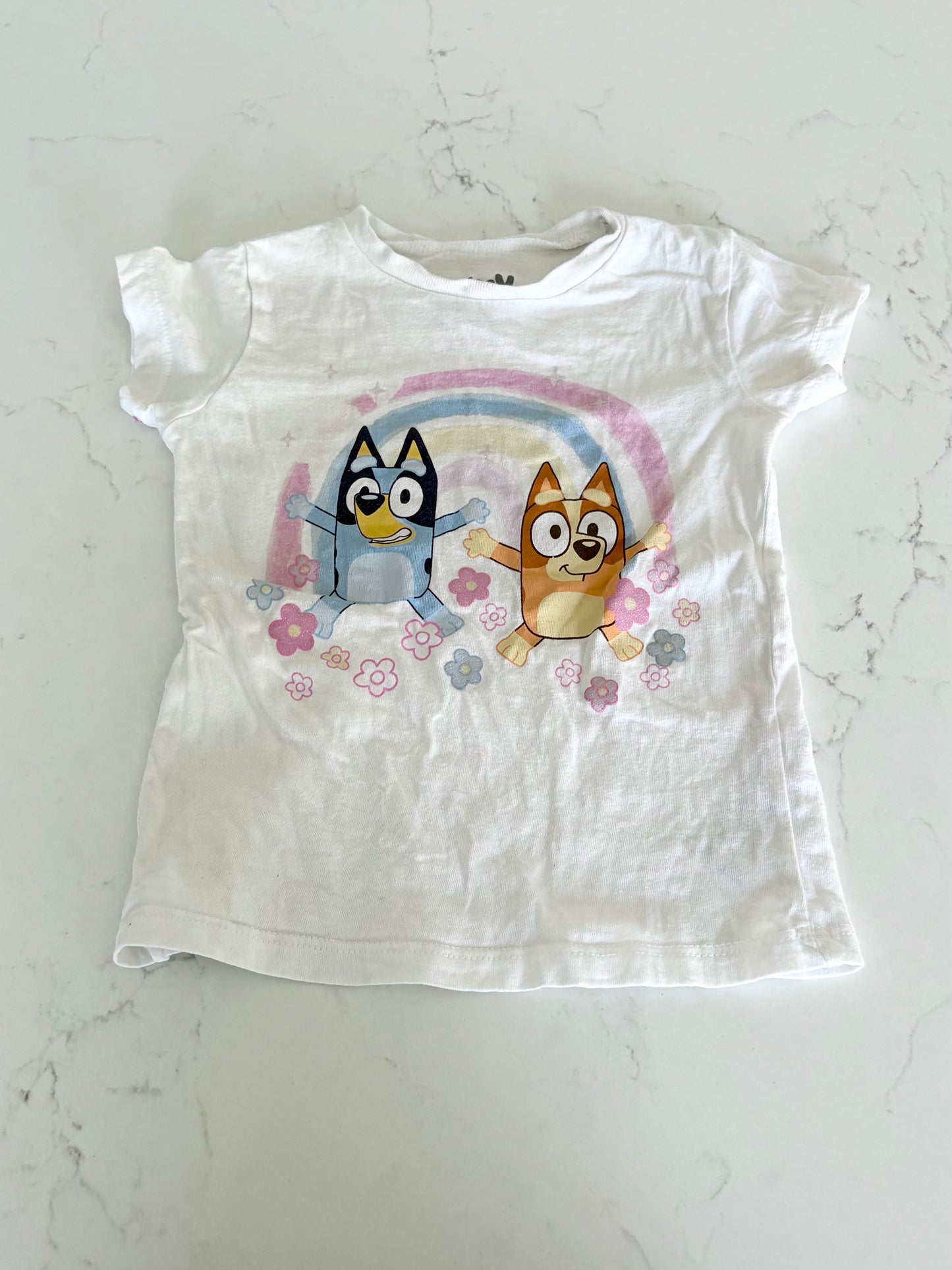 Bluey-T shirt-2T