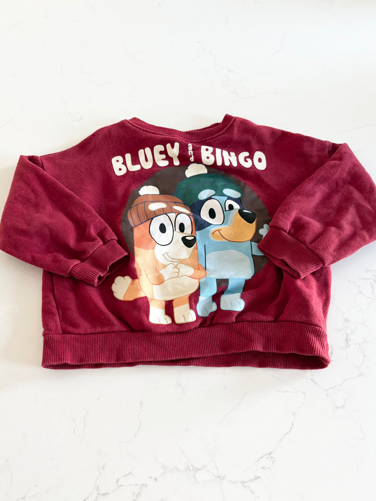 Zara/Bluey-Crewneck-3/4T (fait petit )