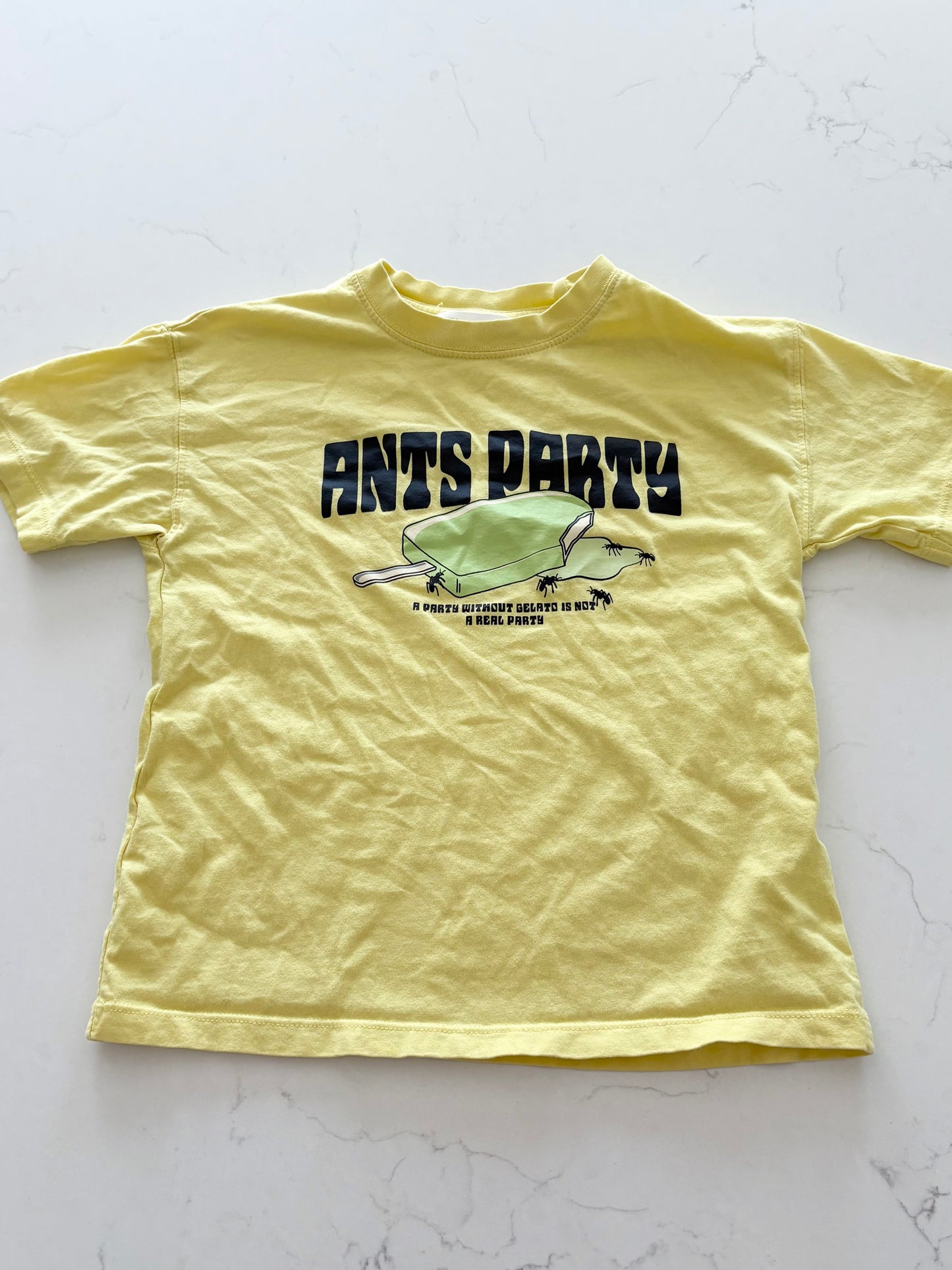Zara-T shirt-6/7T