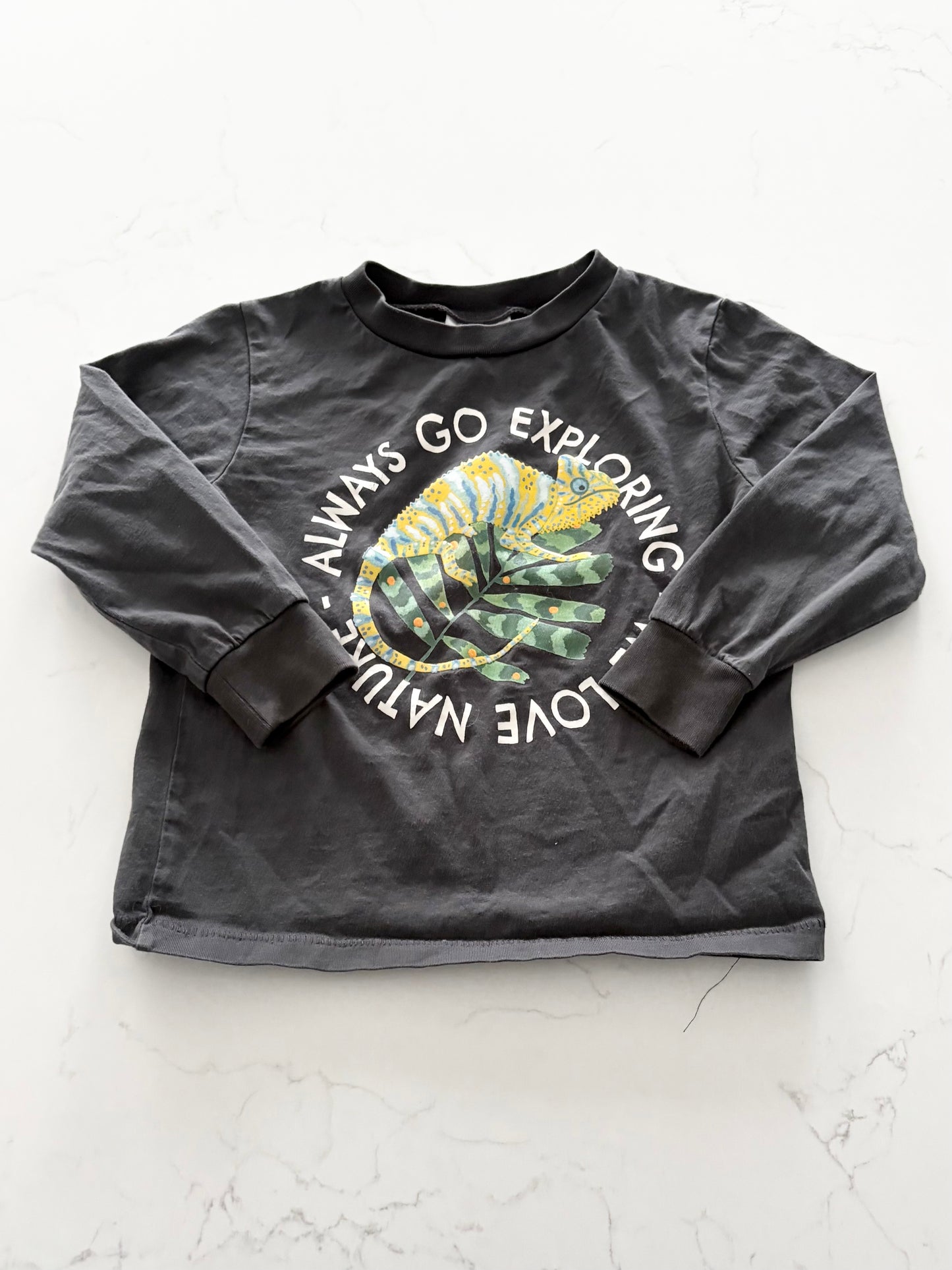 H&M-Chandail-2/4T ( fait petit)