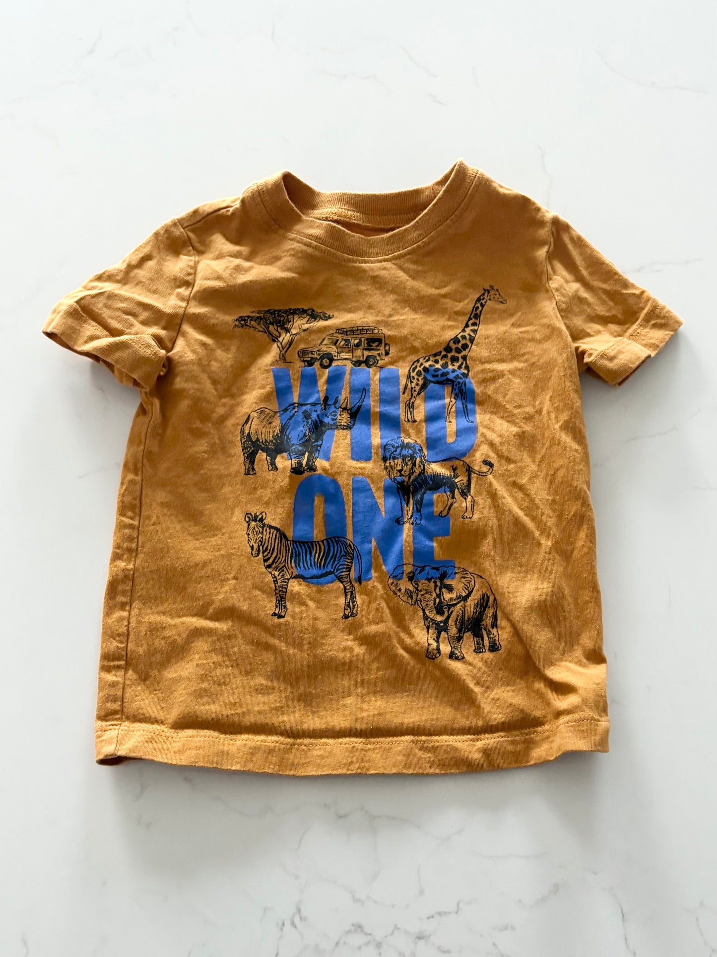 Oshkosh-T shirt-12 mois