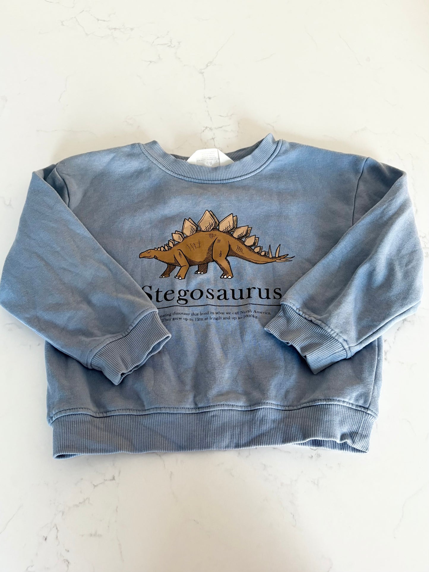 H&M-Crewneck-2/4T
