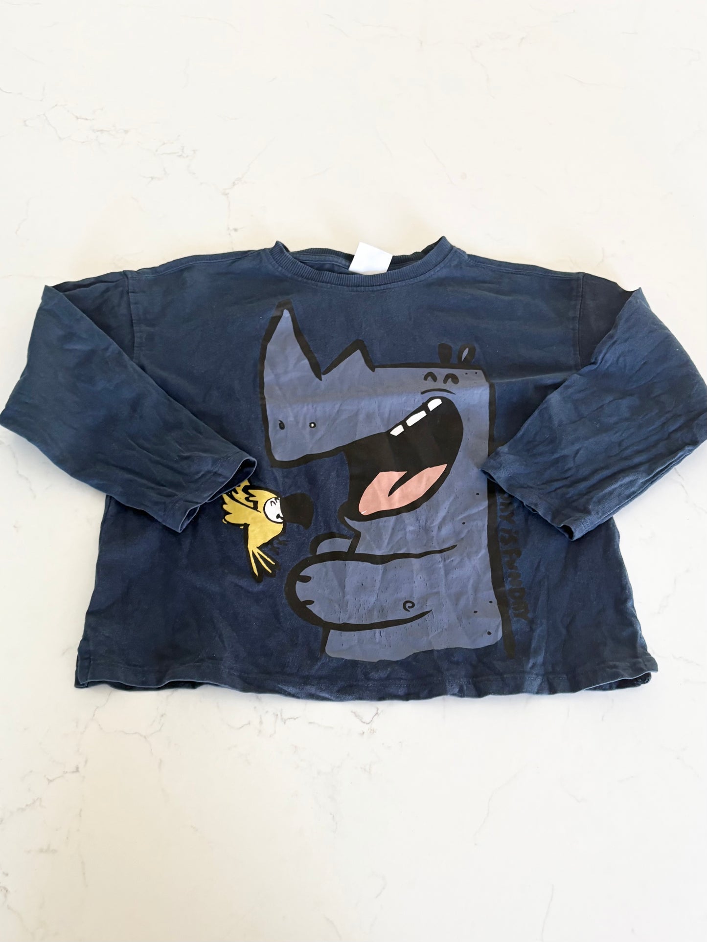Zara-chandail-4/5T