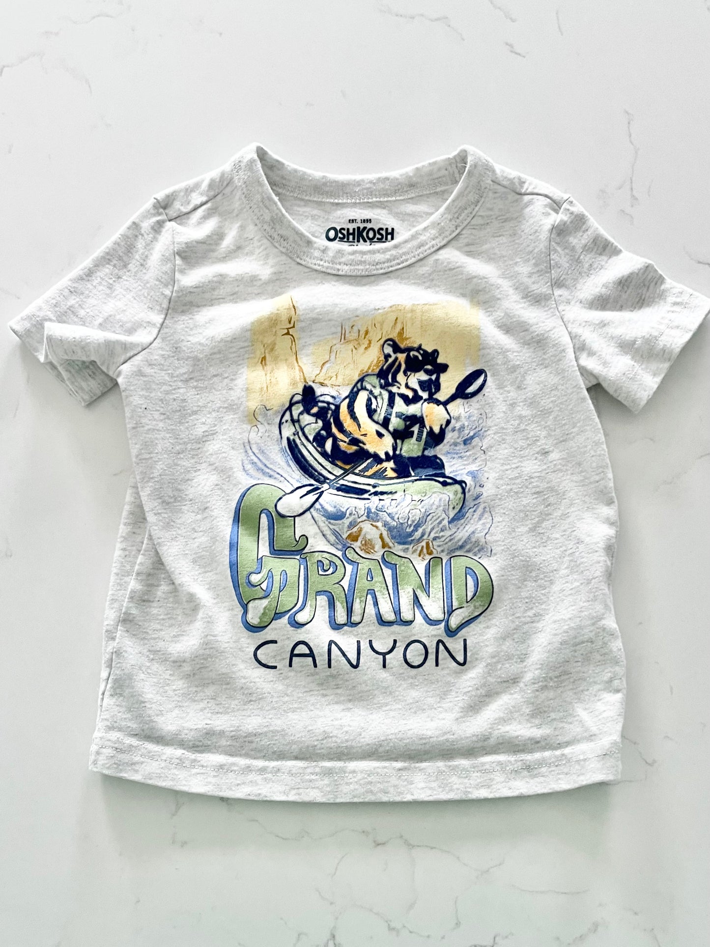 Oshkosh-T shirt-12 mois