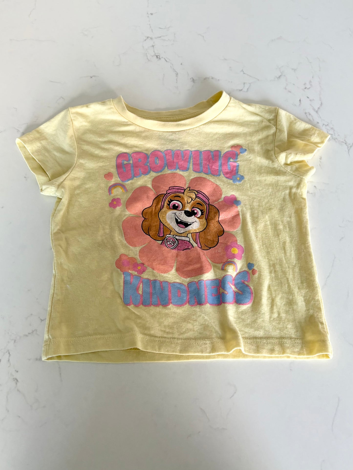 Pat patrouille-T shirt-2T ( légère imperfection)
