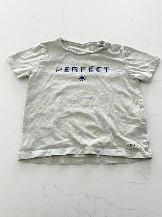 Zara-T shirt-~2T