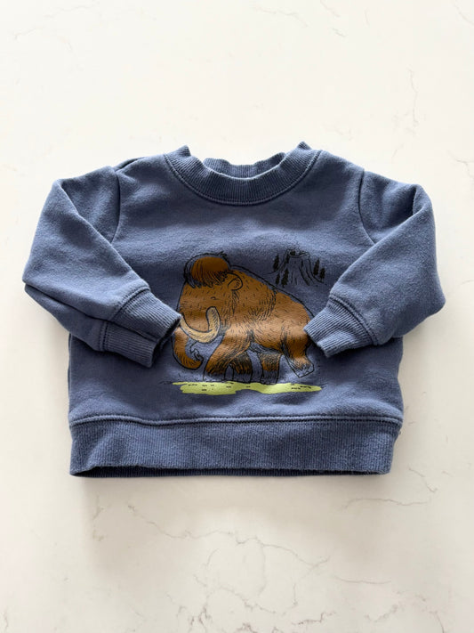 Carters-Crewneck-3 mois