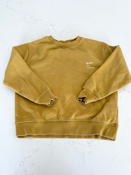 Zara-Crewneck-7T