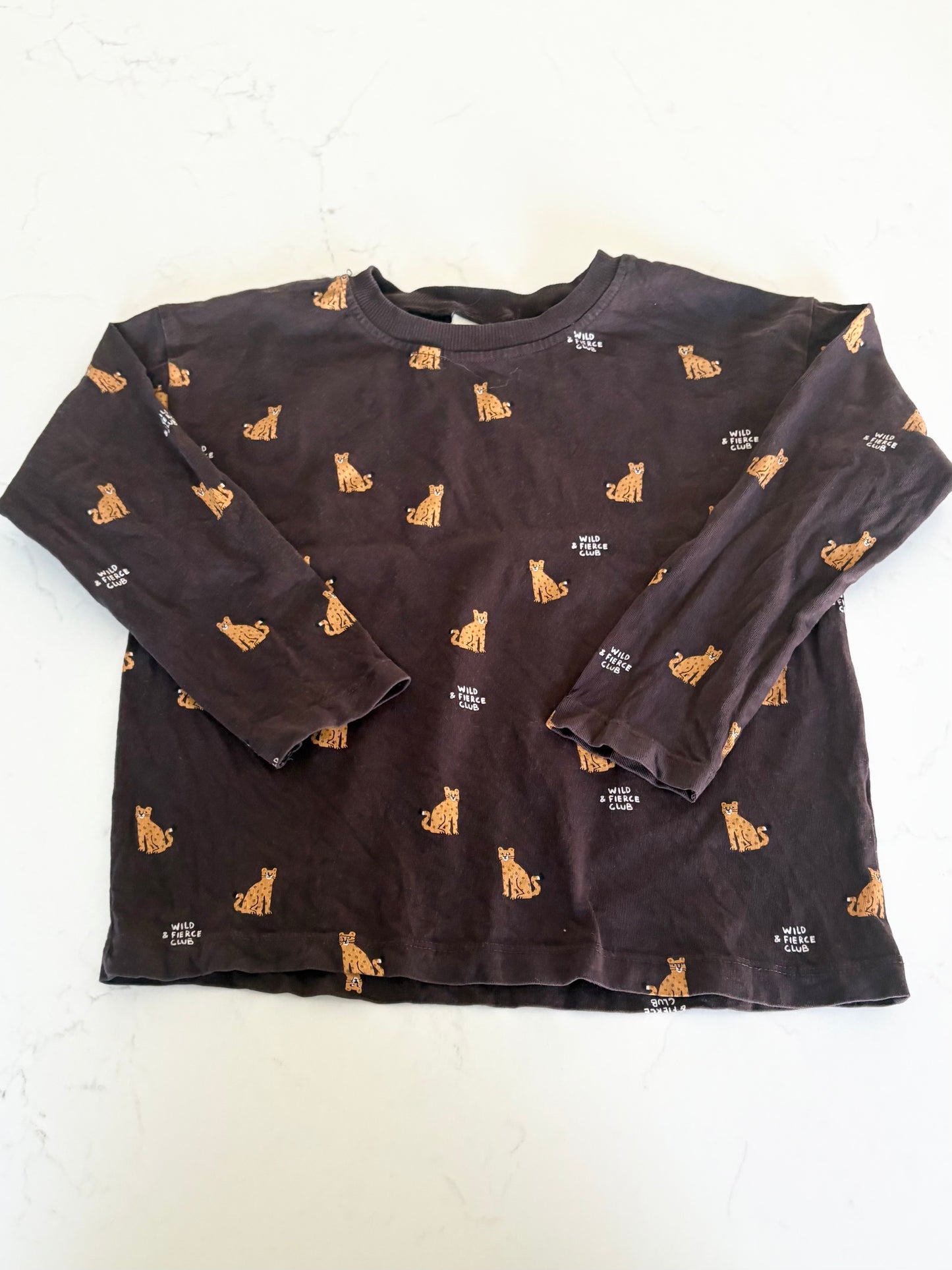 Zara-Chandail-6T (fait petit)