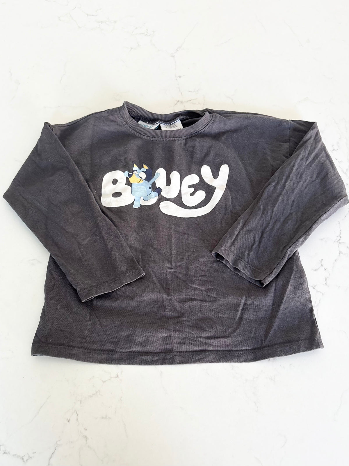 Zara/Bluey-Chandail-4T