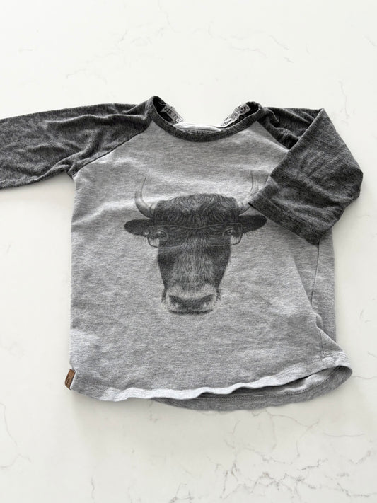 L&P-Chandail-2/3T ( fait petit )