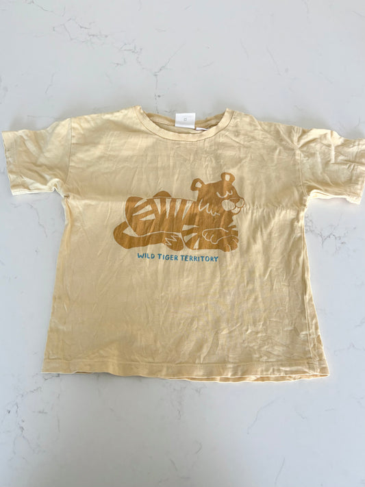 Zara-Chandail-6T