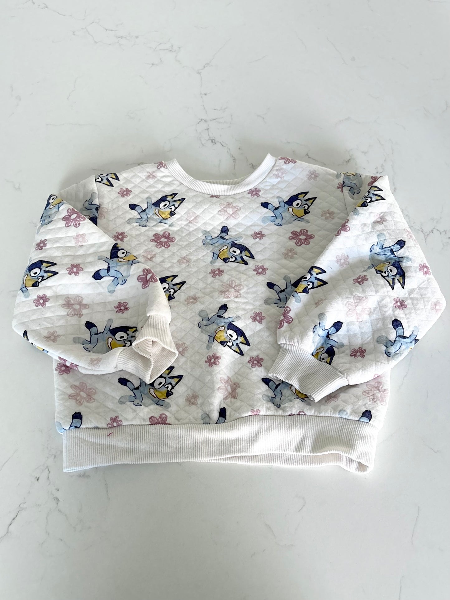 Bluey-Crewneck-5T ( fait petit )