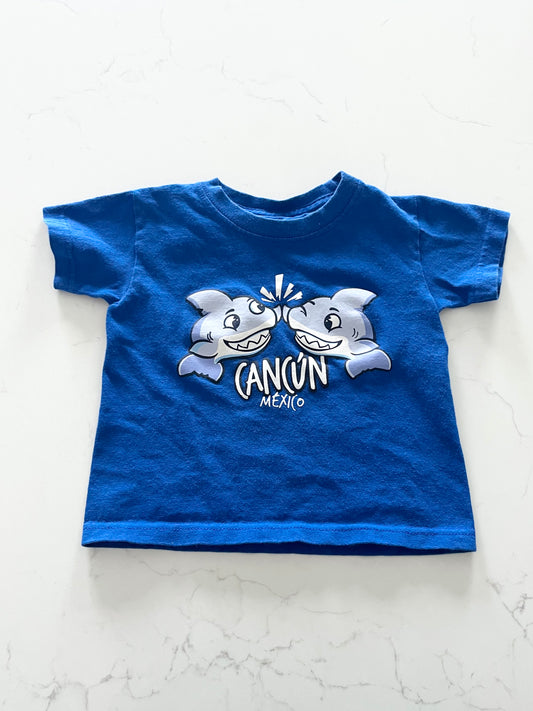 T shirt-1T