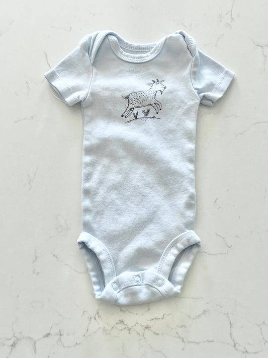 Carters-Cache couche-Nb
