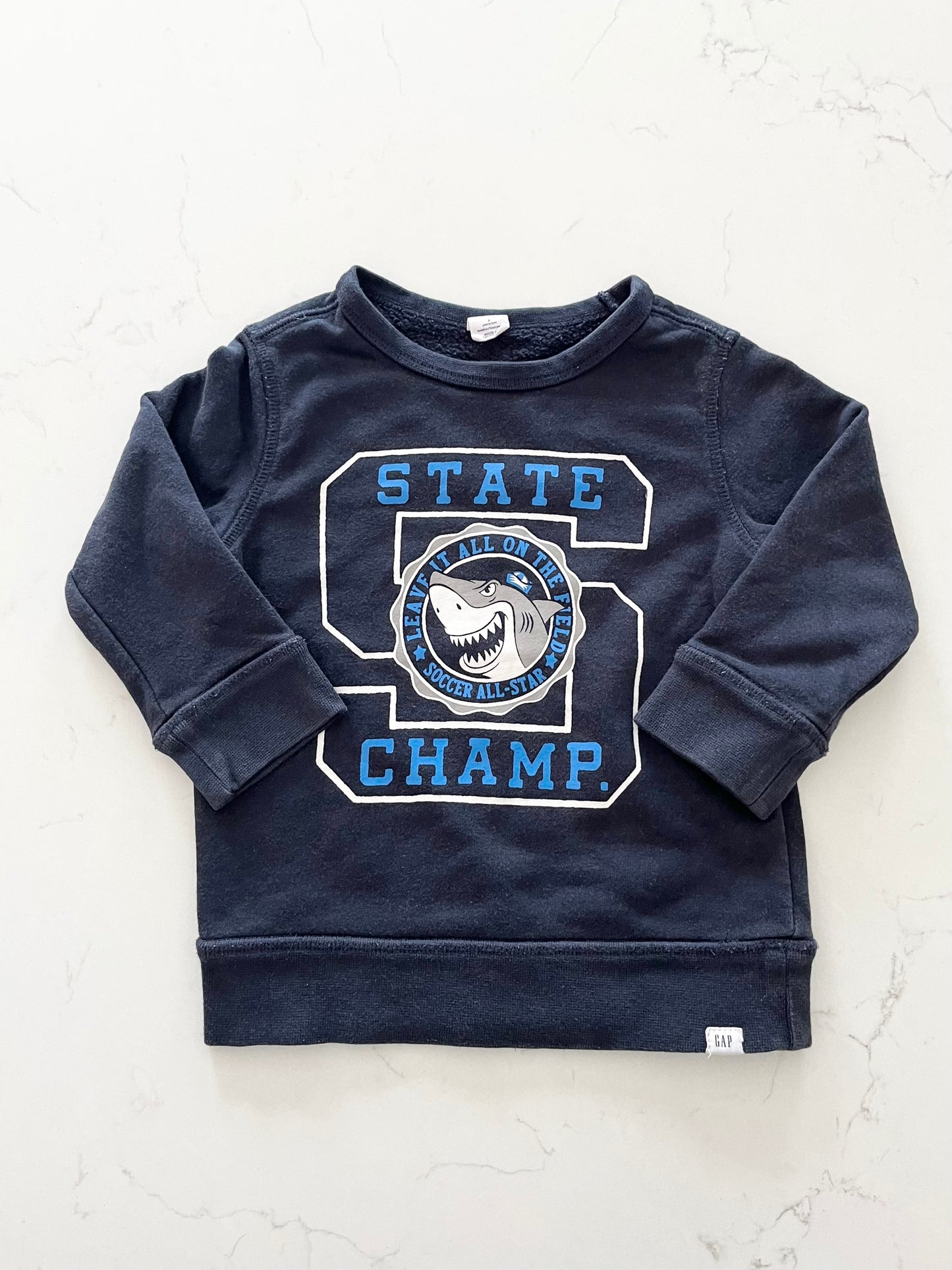 GAP-Crewneck-2T