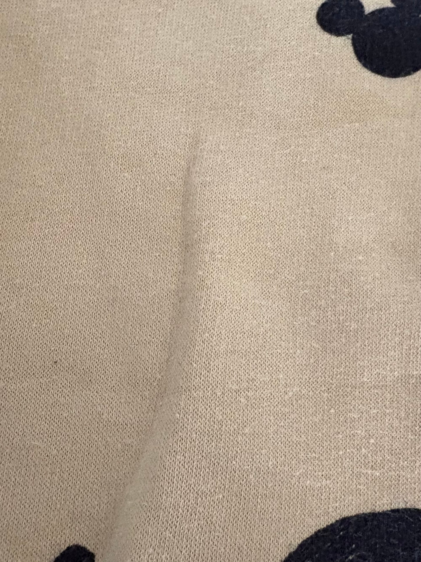 Zara/Disney-Crewneck-6/7T (légère imperfection)