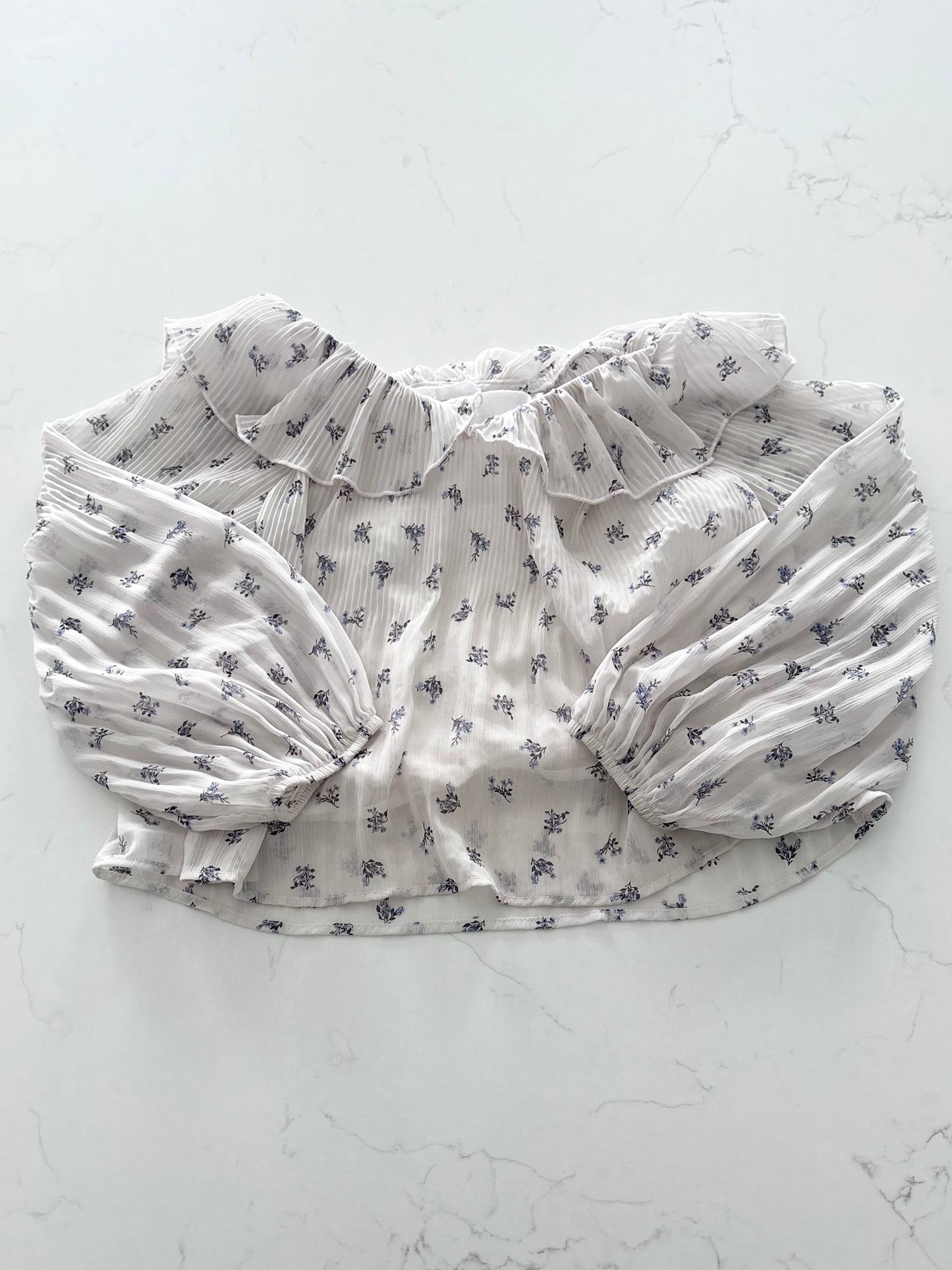 Zara-Blouse-8T