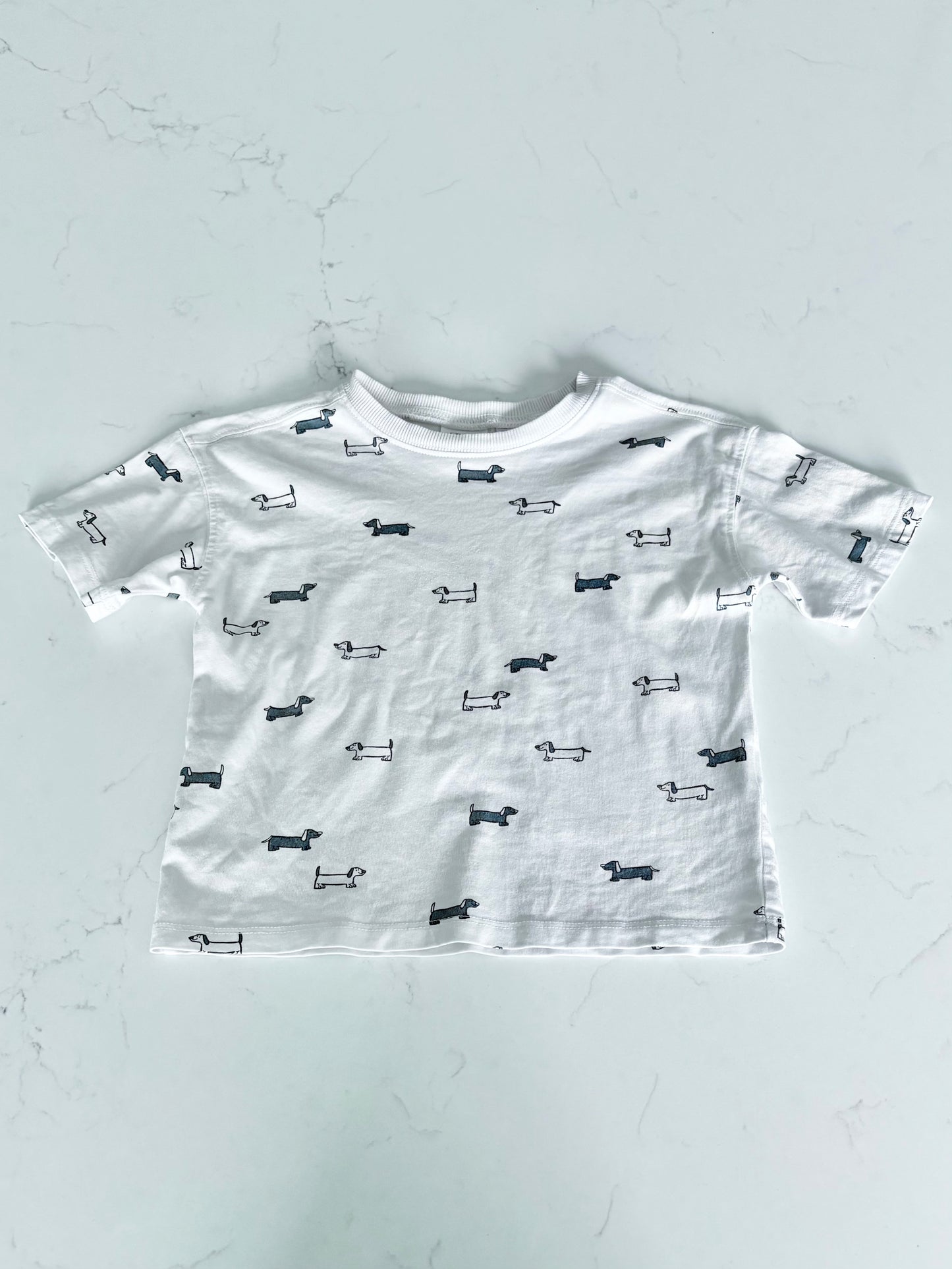 Zara-T shirt-3T