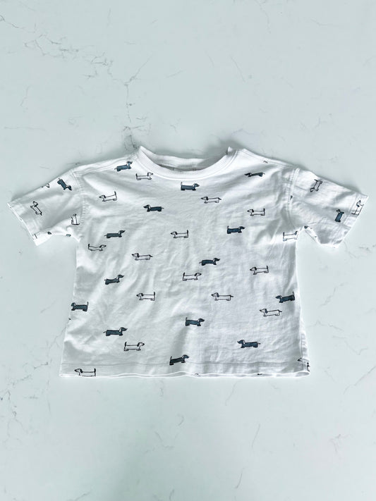 Zara-T shirt-3T