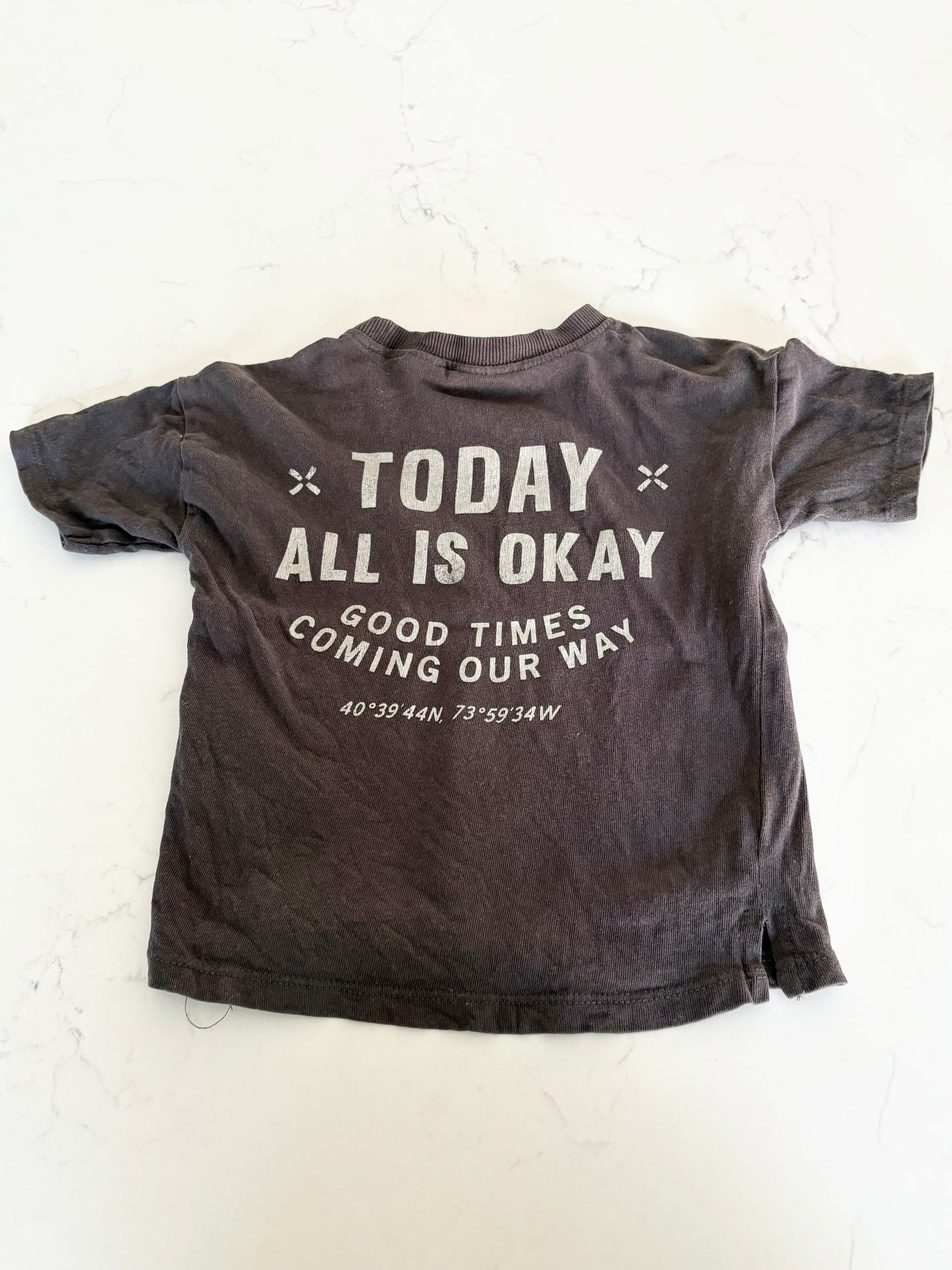 Zara-T shirt-18 mois