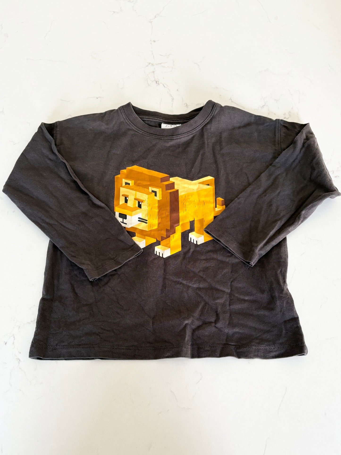 Zara-Chandail-3T