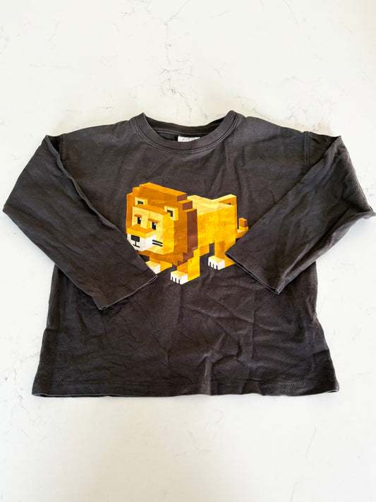 Zara-Chandail-3T