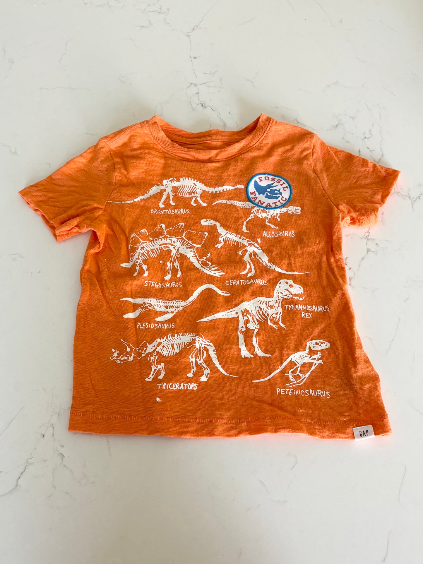 Gap-T shirt-3T