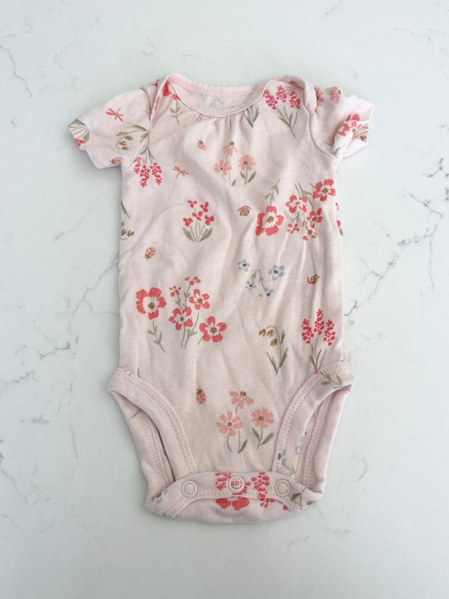 Carters-Cache couche-Nb