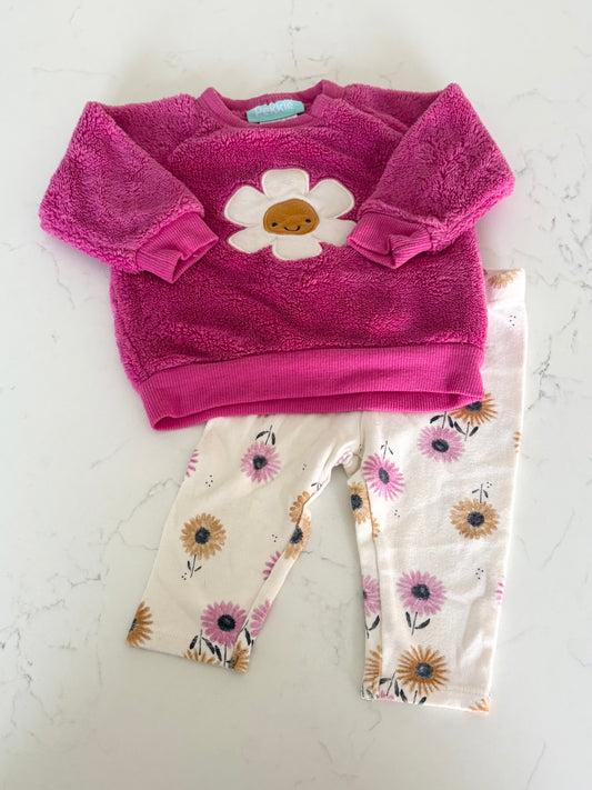 Pekkle-Ensemble-6 mois