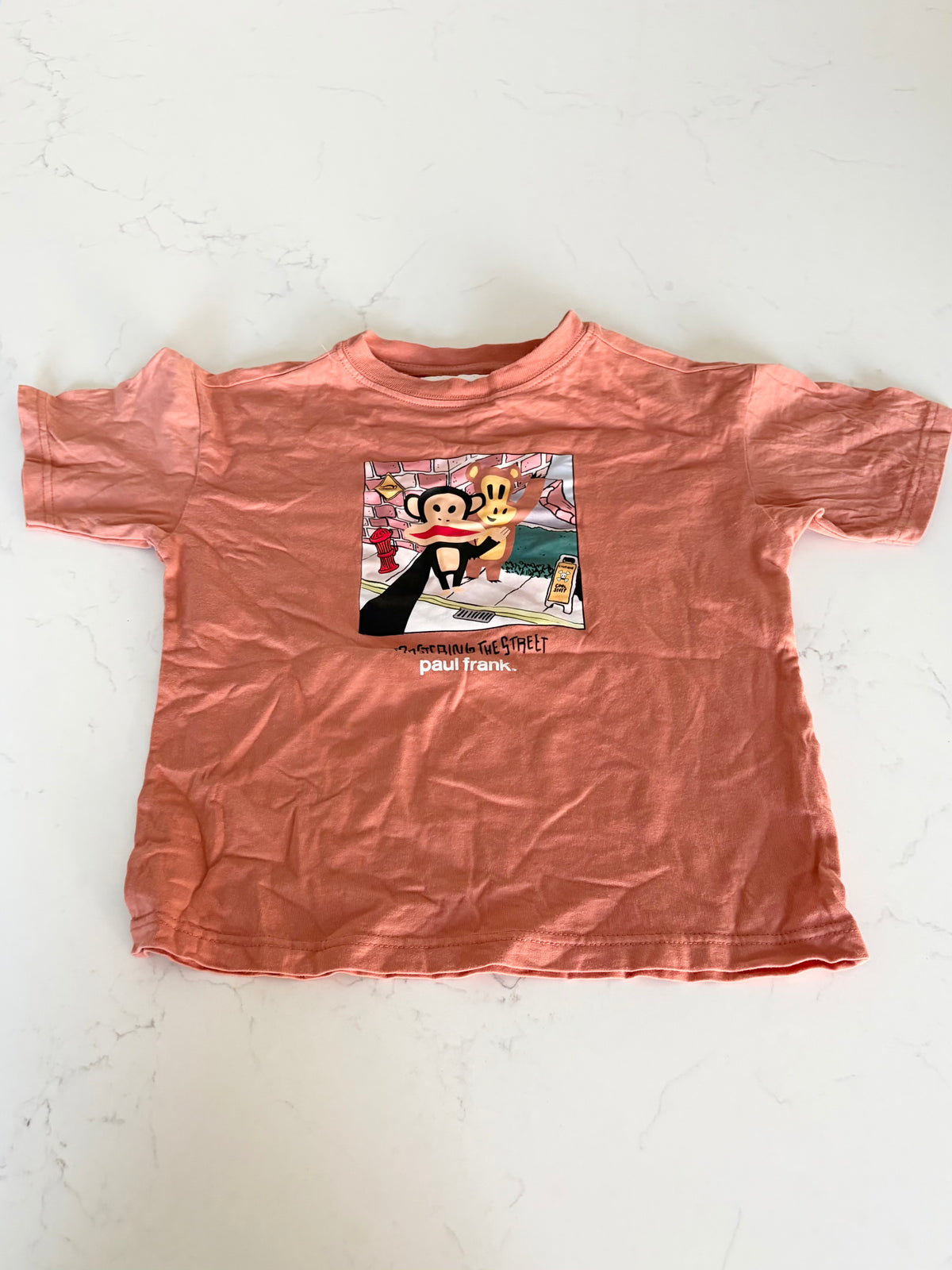 Zara/Paul Frank-T shirt-6/7T