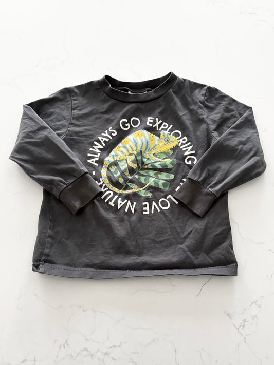 H&M-Chandail-2/4T ( fait petit)