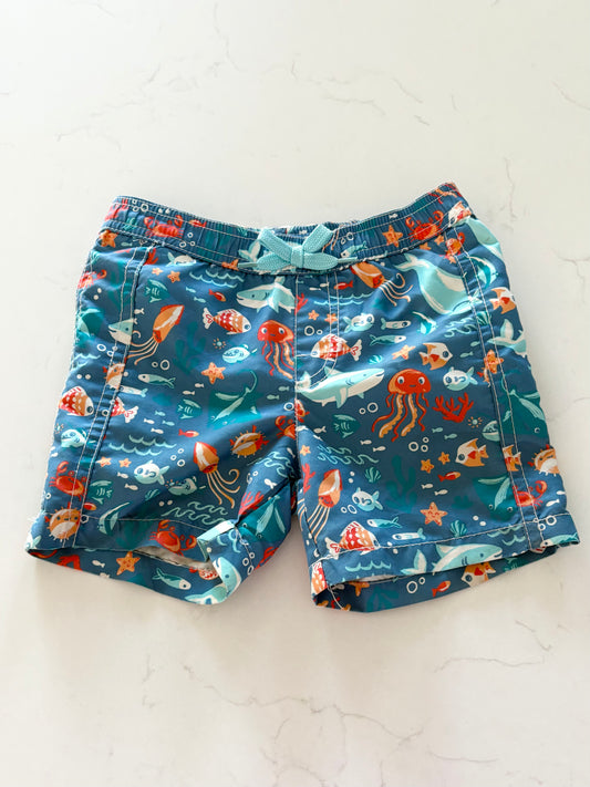 Hatley-Maillot de bain-12/18 mois
